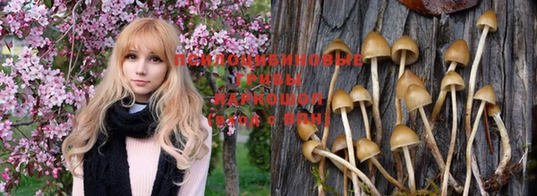 эйфоретик Наволоки