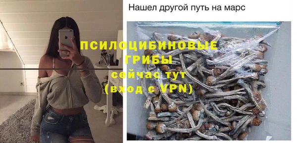 ГАЛЛЮЦИНОГЕННЫЕ ГРИБЫ Алексеевка
