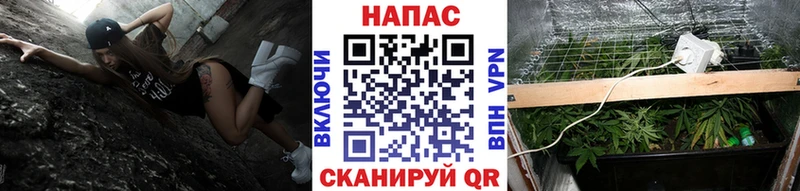 МАРИХУАНА план  купить закладку  Тихорецк 